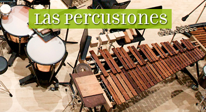 graduado Siesta Rico Las percusiones - Música en México