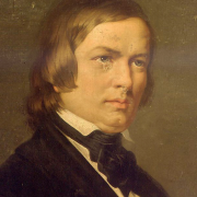 Fracturas de Schumann