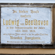 Beethoven placa